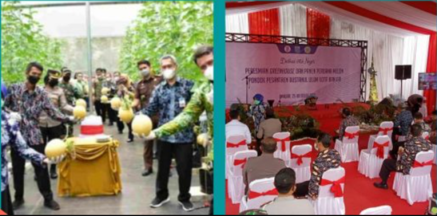 Panen Perdana Melon Inthanon dan Wakatobi di Pondok Pesantren Bustanul Ulum Karyamukti: Sebuah Inovasi Sukses